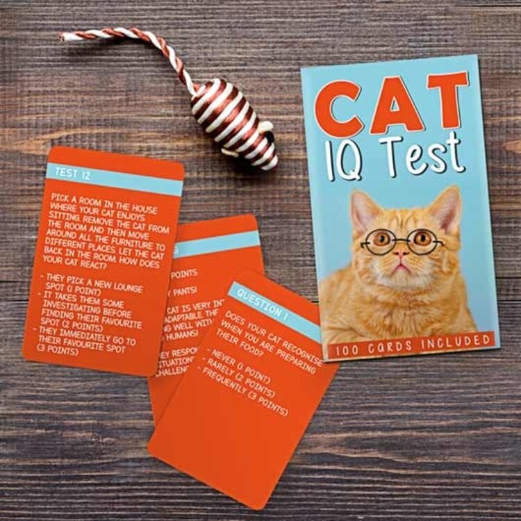 Gift Republic Gift Republic - Cat IQ Test