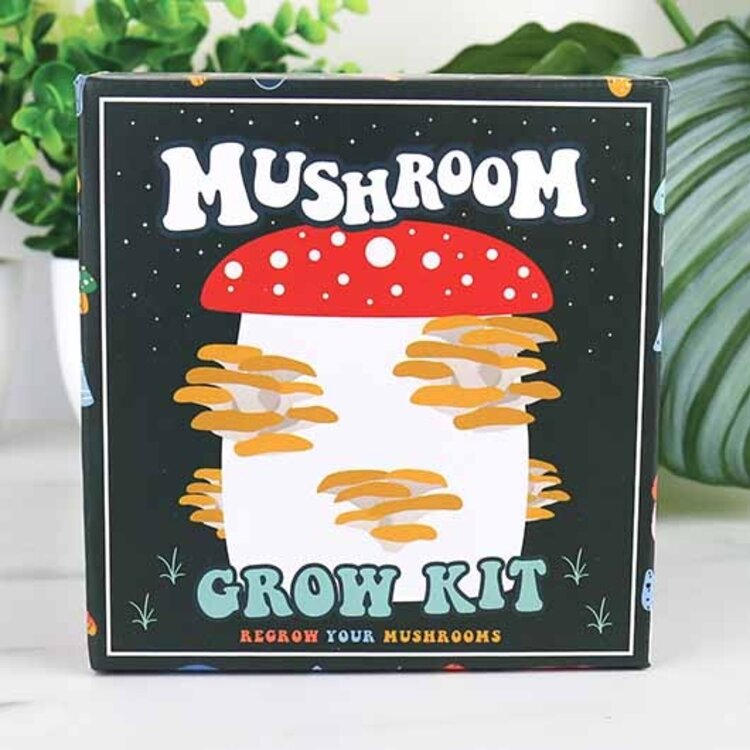 Gift Republic Gift Republic - Mushroom Grow Kit