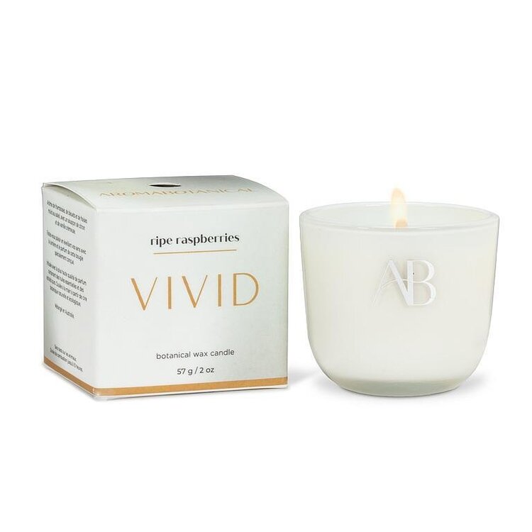 Abbott Abbott - Mini Ripe Raspberries 2" Candle