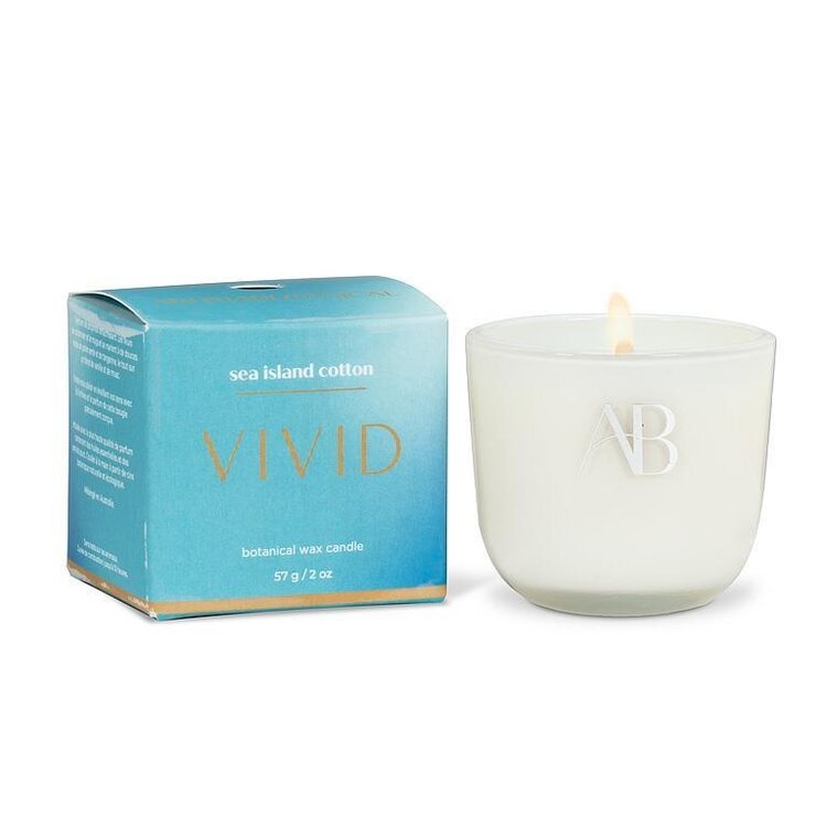Abbott Abbott - Mini Sea Island 2" Candle