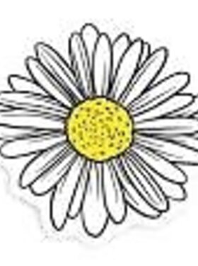 Stickers North West Stickers North West - Daisy Sticker