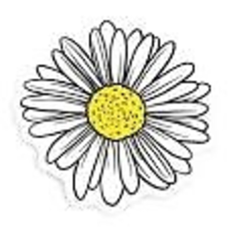 Stickers North West Stickers North West - Daisy Sticker