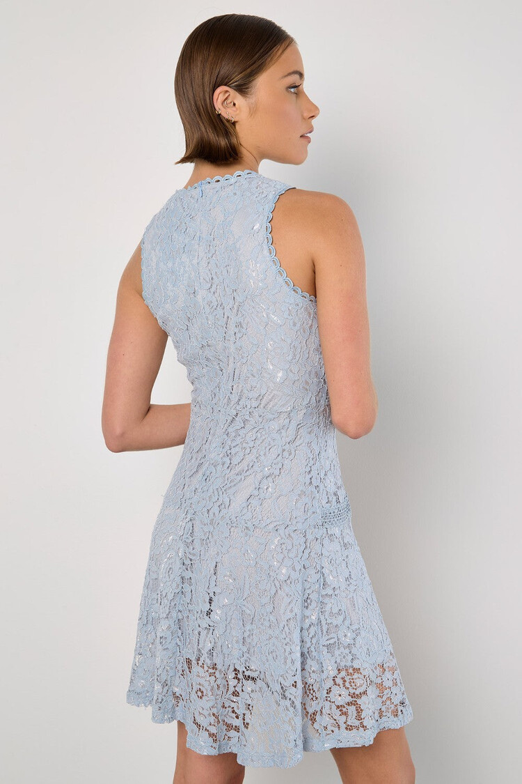 Apricot Apricot - High Neck Lace Skater Dress