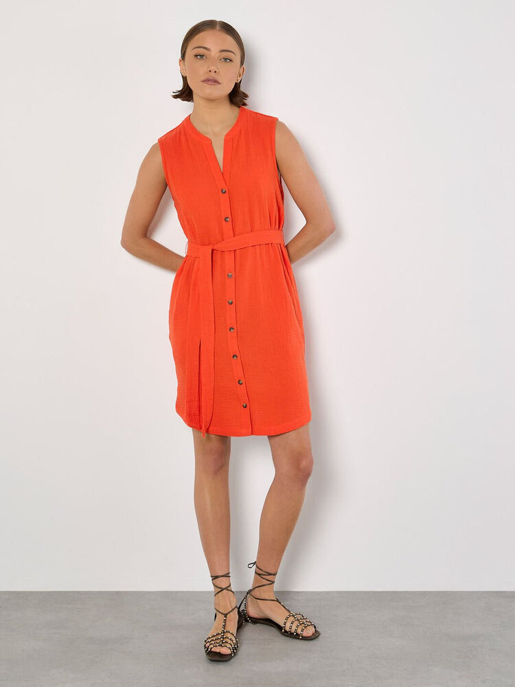 Apricot Apricot - Button Down Dress w/Belt