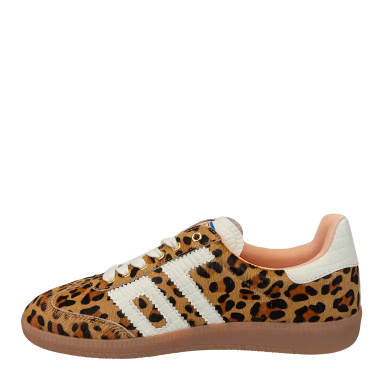 Back 70 Back 70 - Leopard Runner