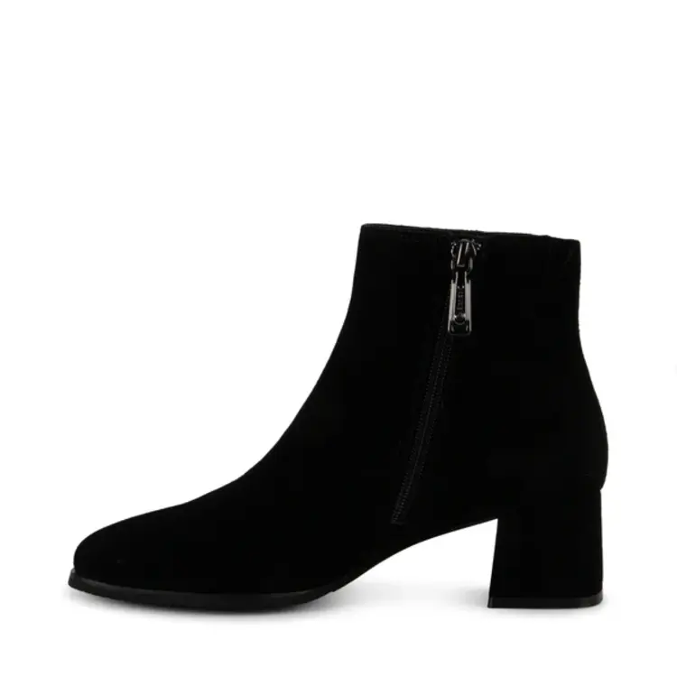 Blondo Blondo - COLBYS Ankle boot