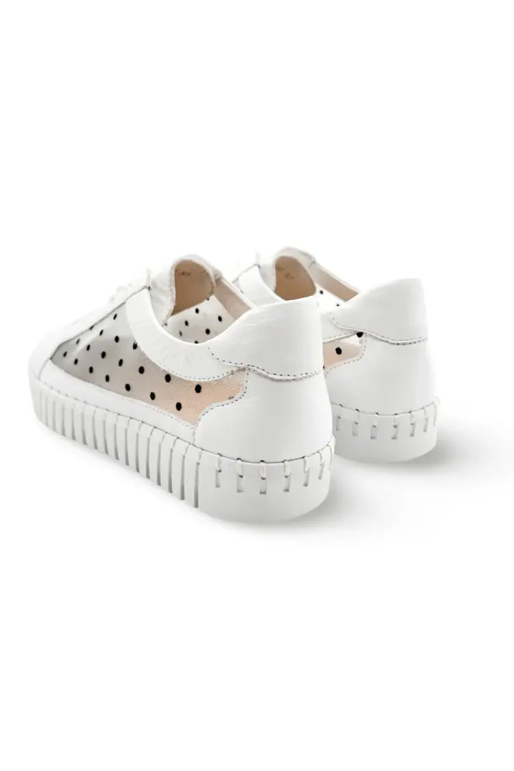 Django & Juliette Django & Juliette - HELODIE Leather Sneaker