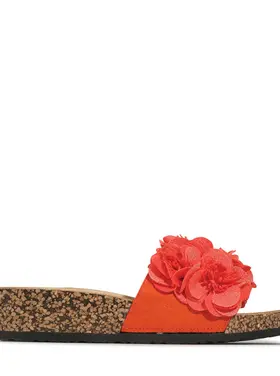 Los Cabos Los Cabos - CORSAGE