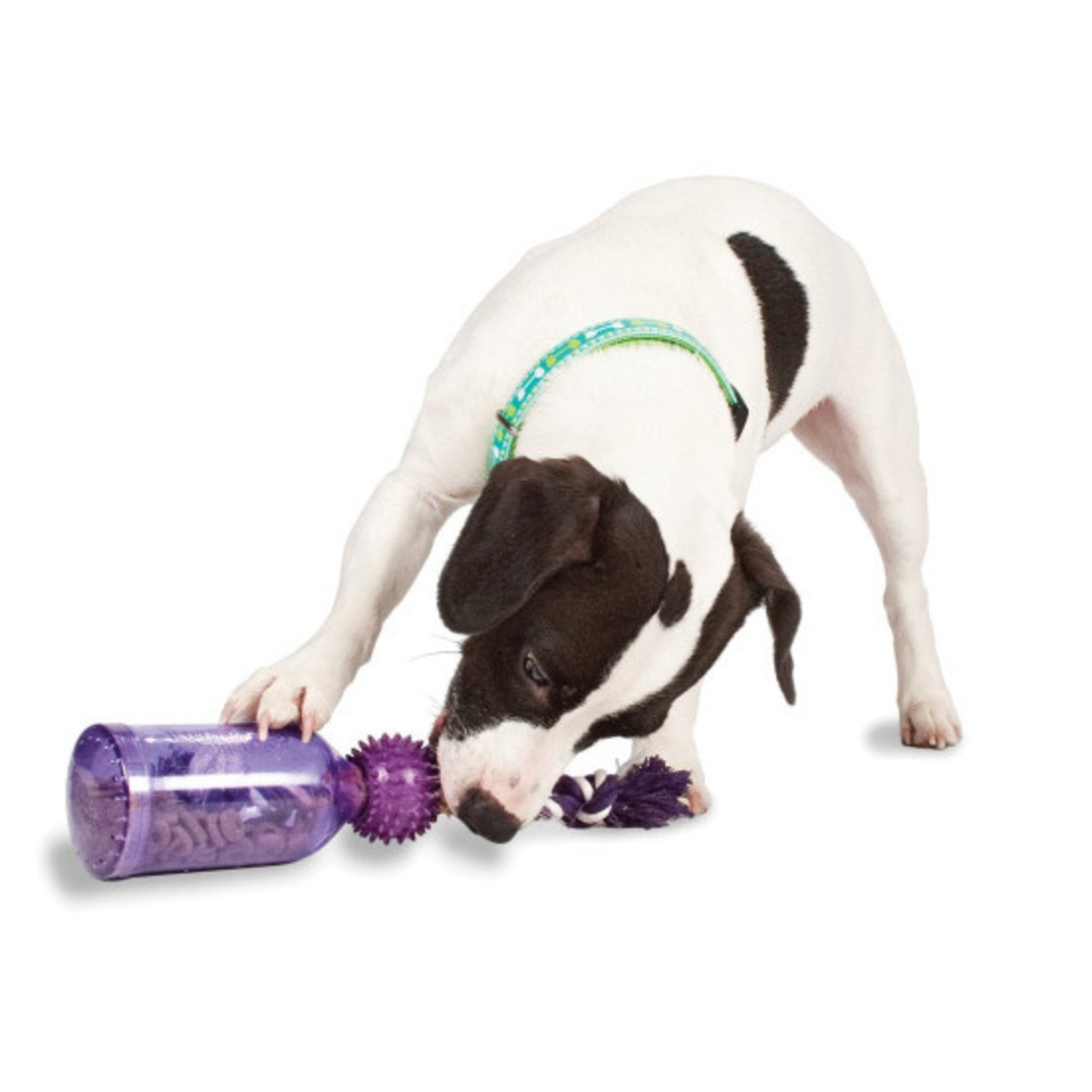 PETSAFE Busy Buddy Calming Treat Dispenser Dog Toy, Small 