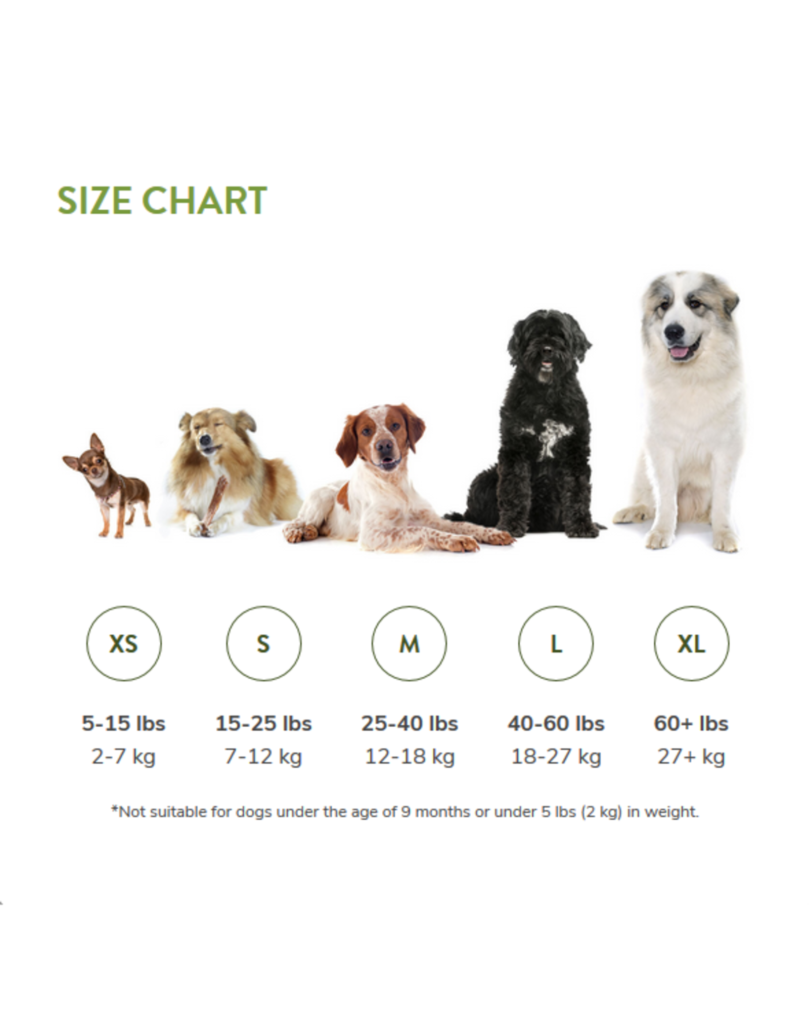 whimzees small toothbrush