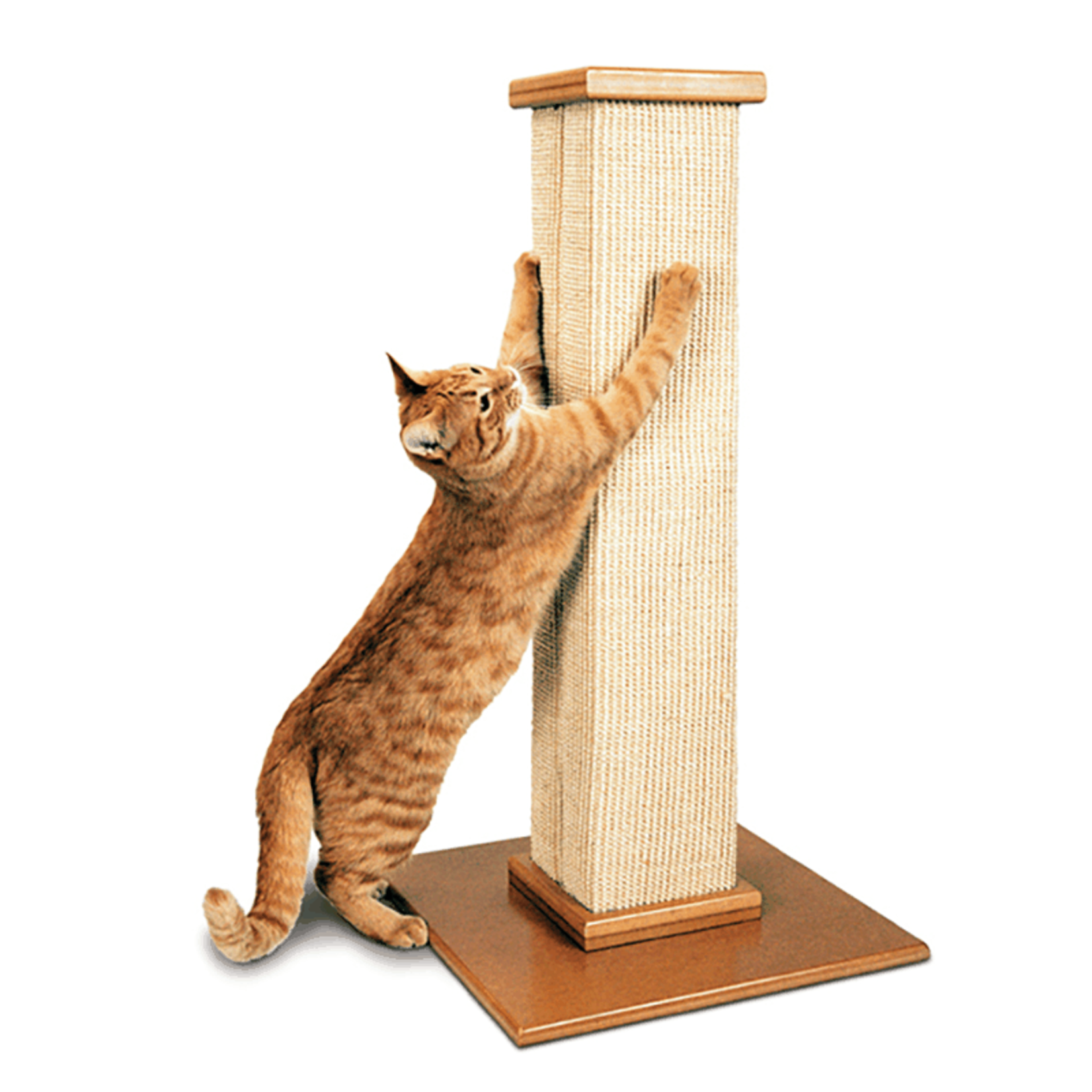 Pioneer Pet Products / Smart Cat SmartCat Ultimate Scratching Post