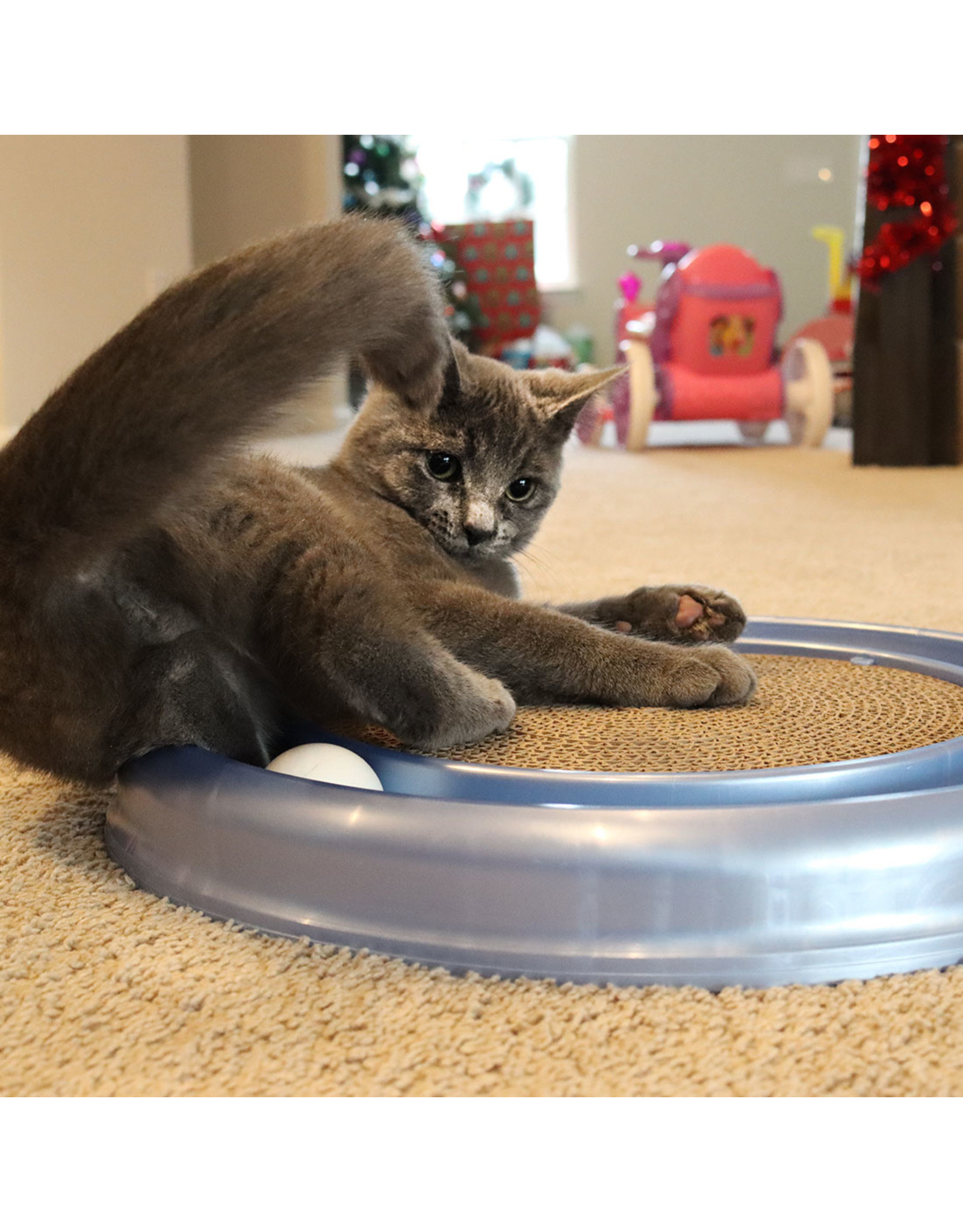 Turbo by Coastal Turbo Chaser Ball Track and Scratching Cat Toy with Catnip