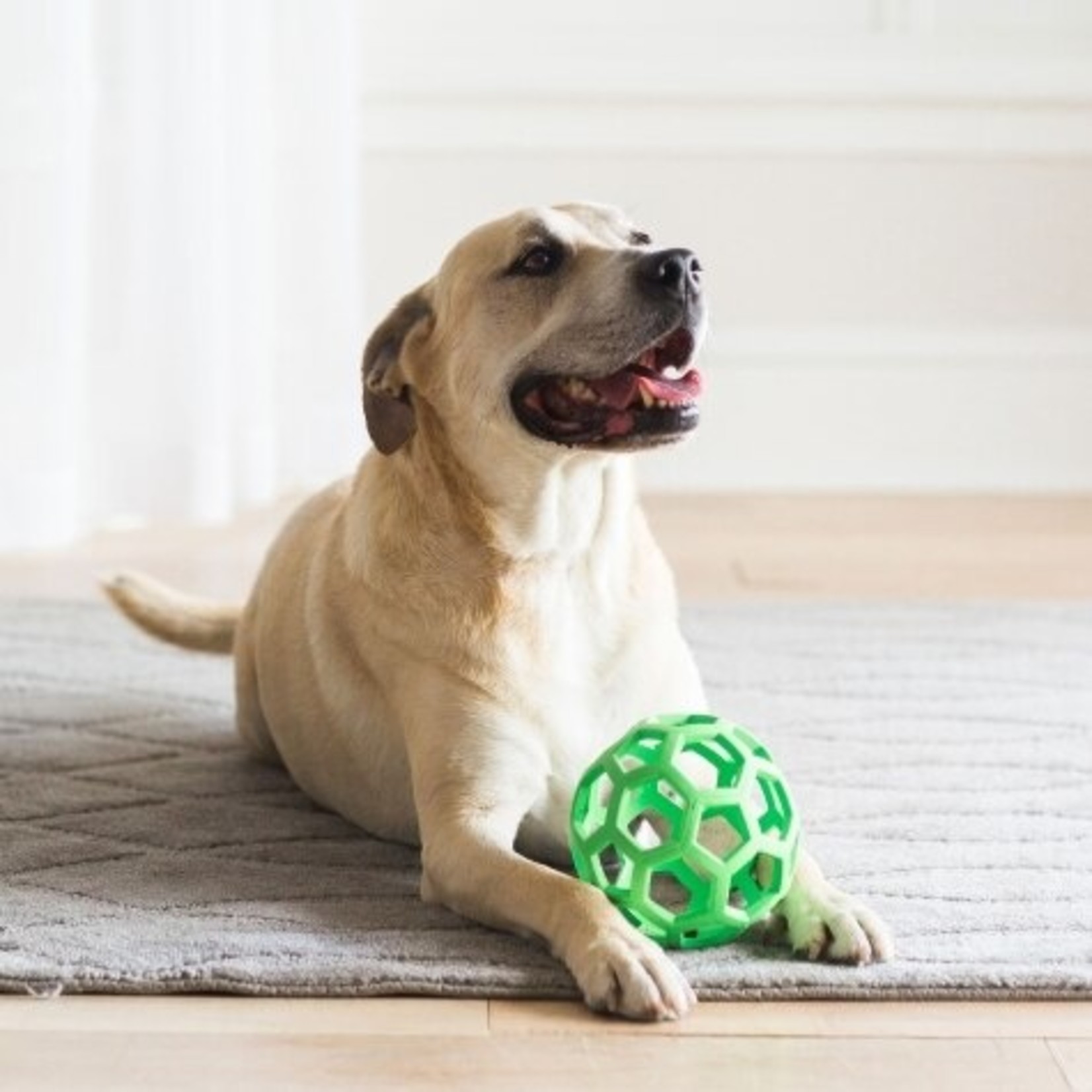 JW Pets JW Hol-ee Roller Rubber Ball Dog Toy