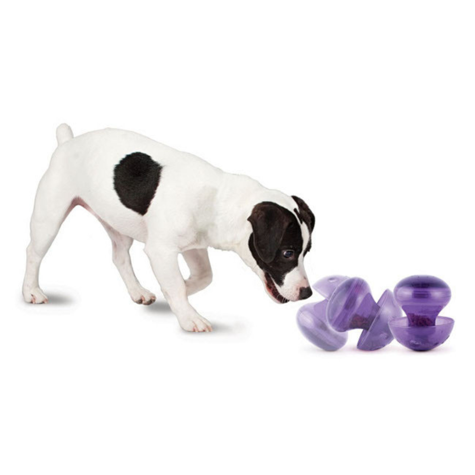 PetSafe Busy Buddy Twist n Treat Dog Toy - Howell, MI - Pet X Supplies &  Tack