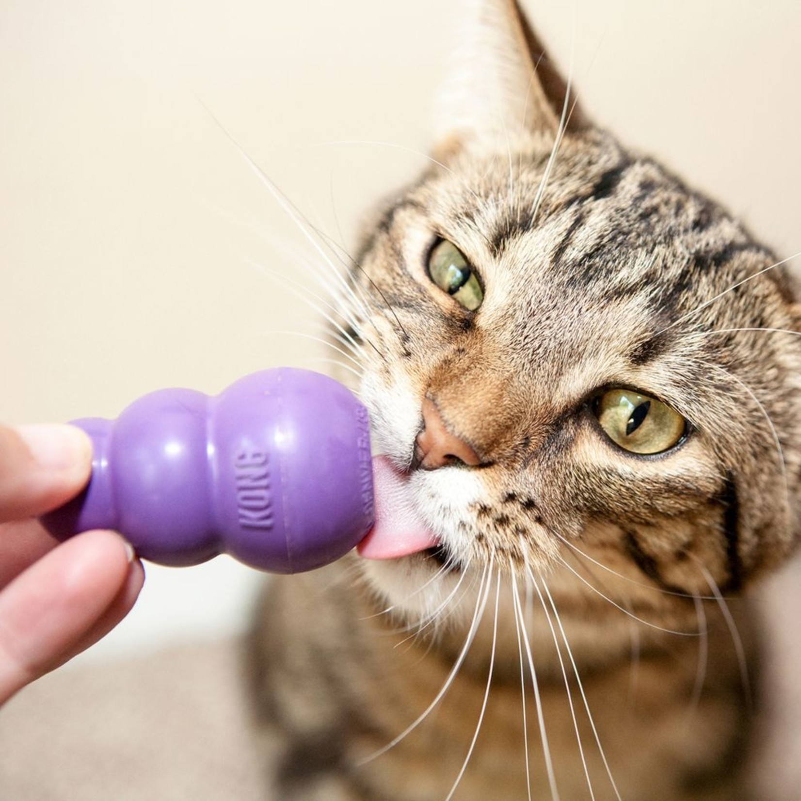 Cat Kong Cat Toy