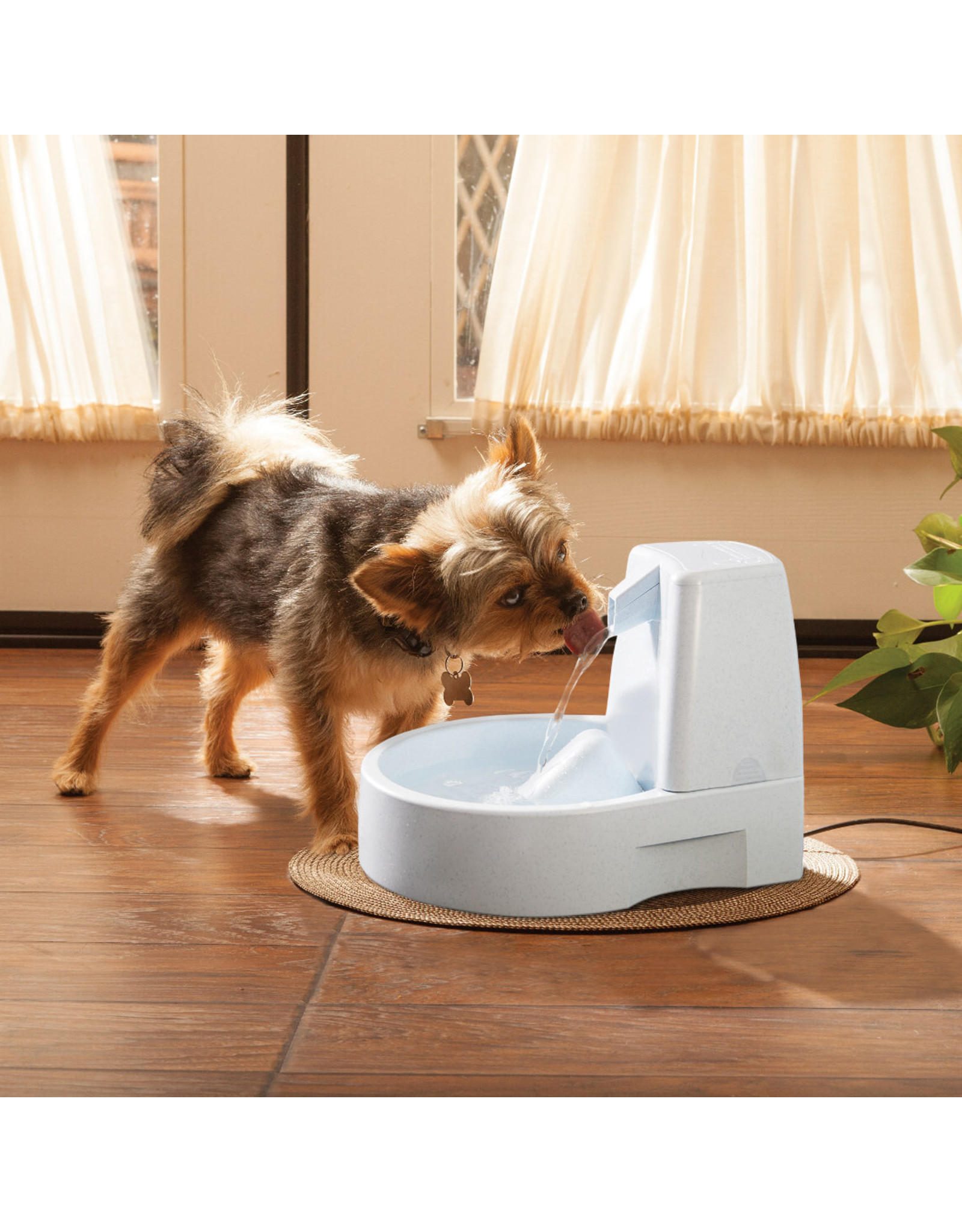 PetSafe Drinkwell Original Water Fountain 50oz Howl