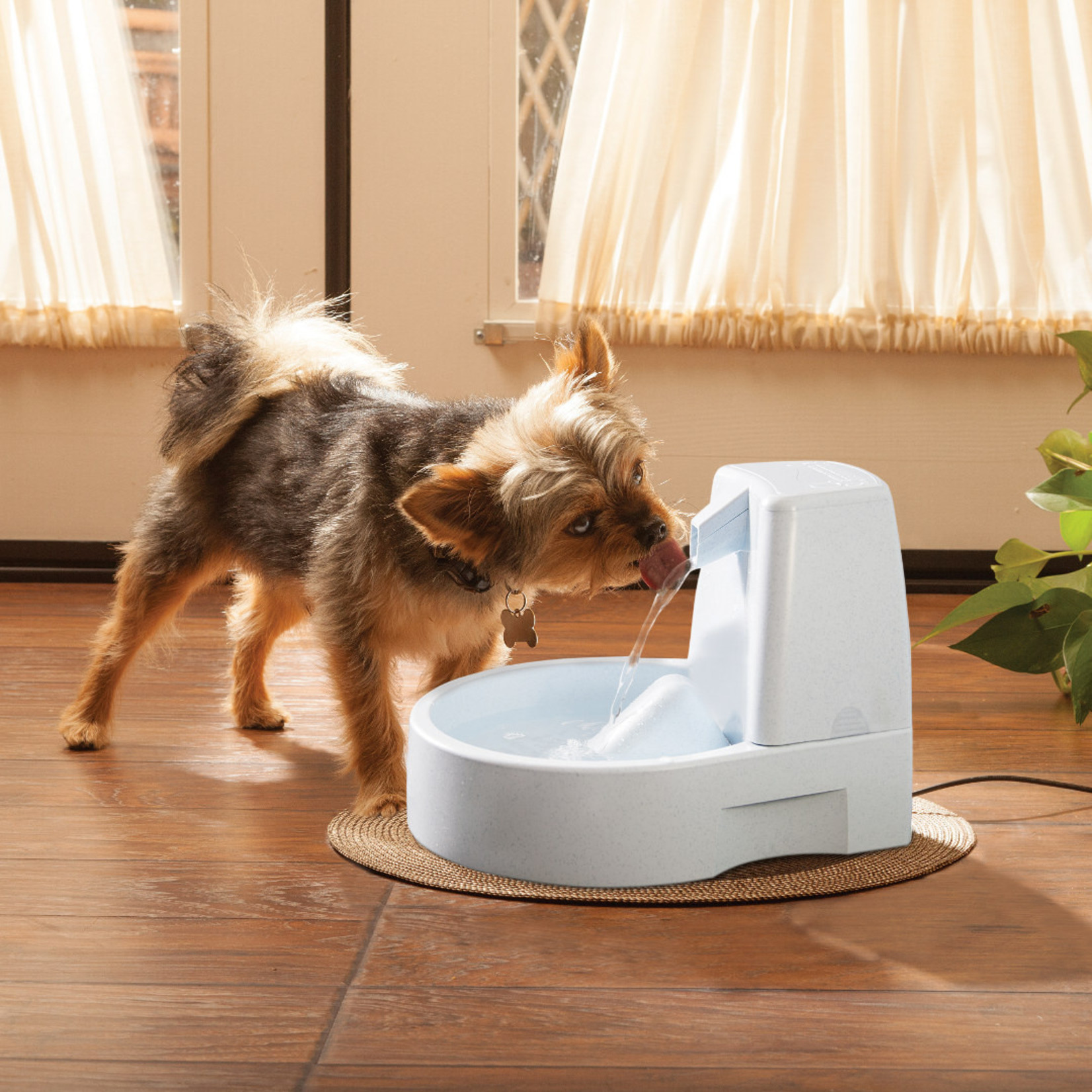 PetSafe PetSafe Drinkwell Original Water Fountain 50oz