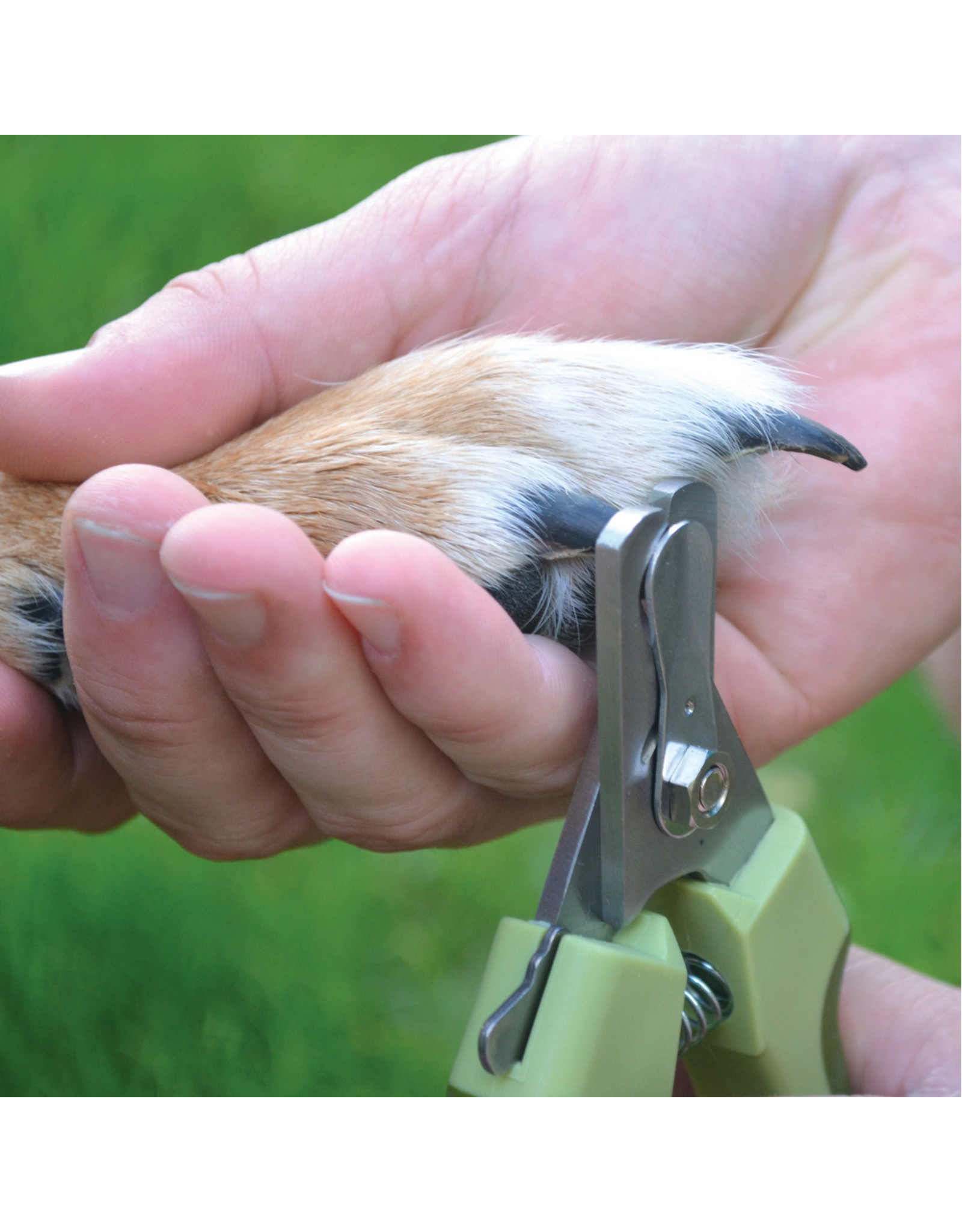 safari professional nail trimmer large