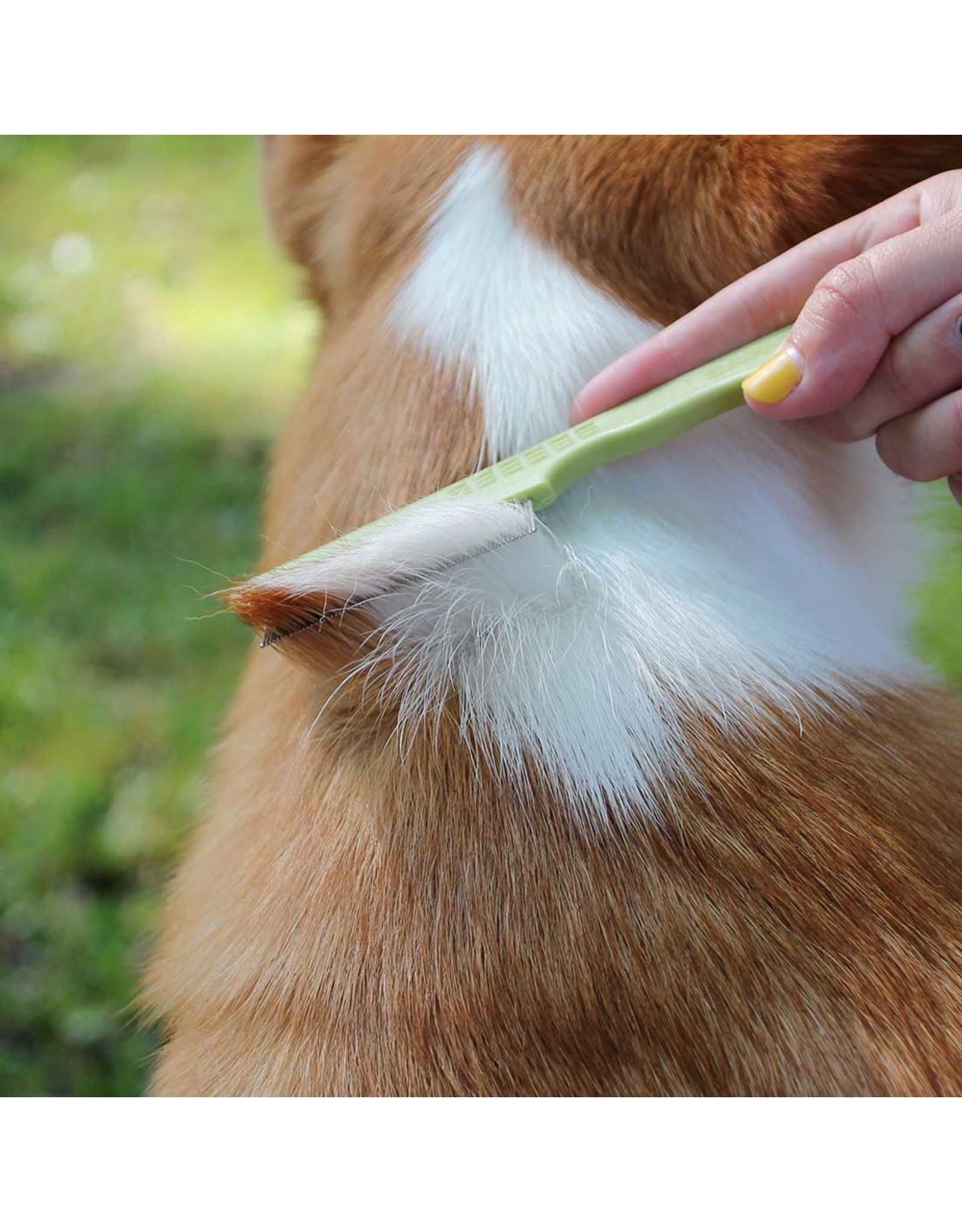 double row flea comb