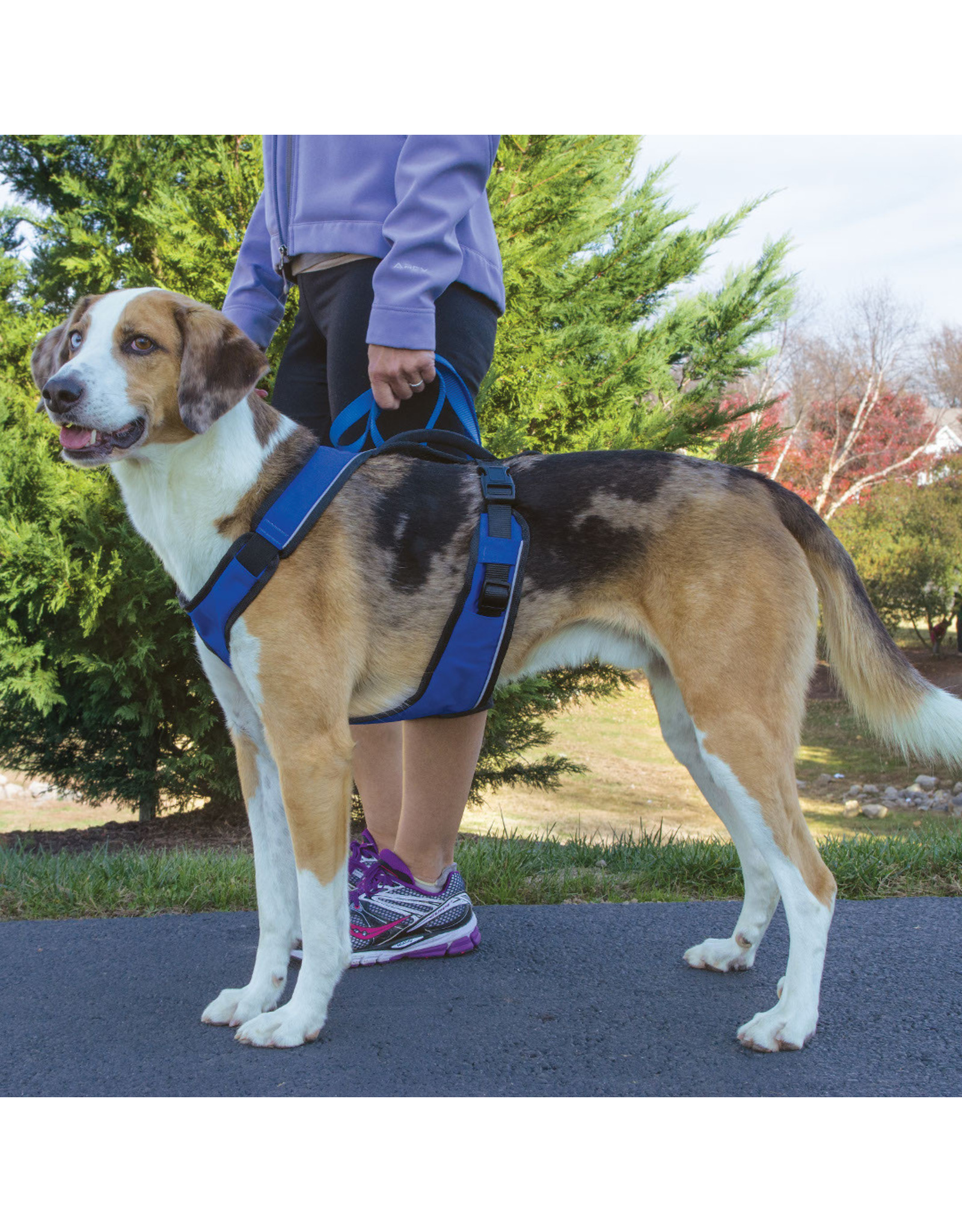 pet safe dog harness