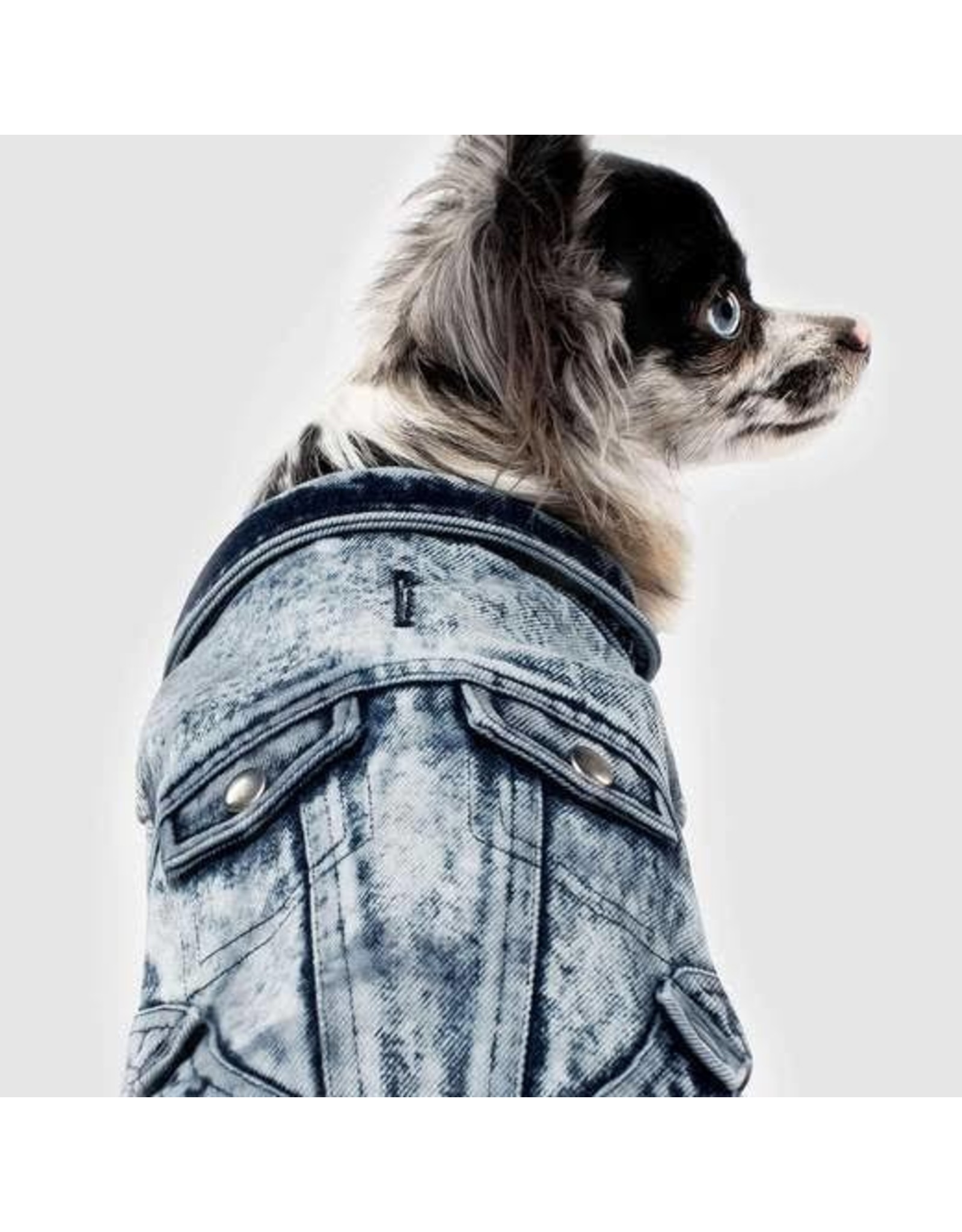 jean vest for dogs
