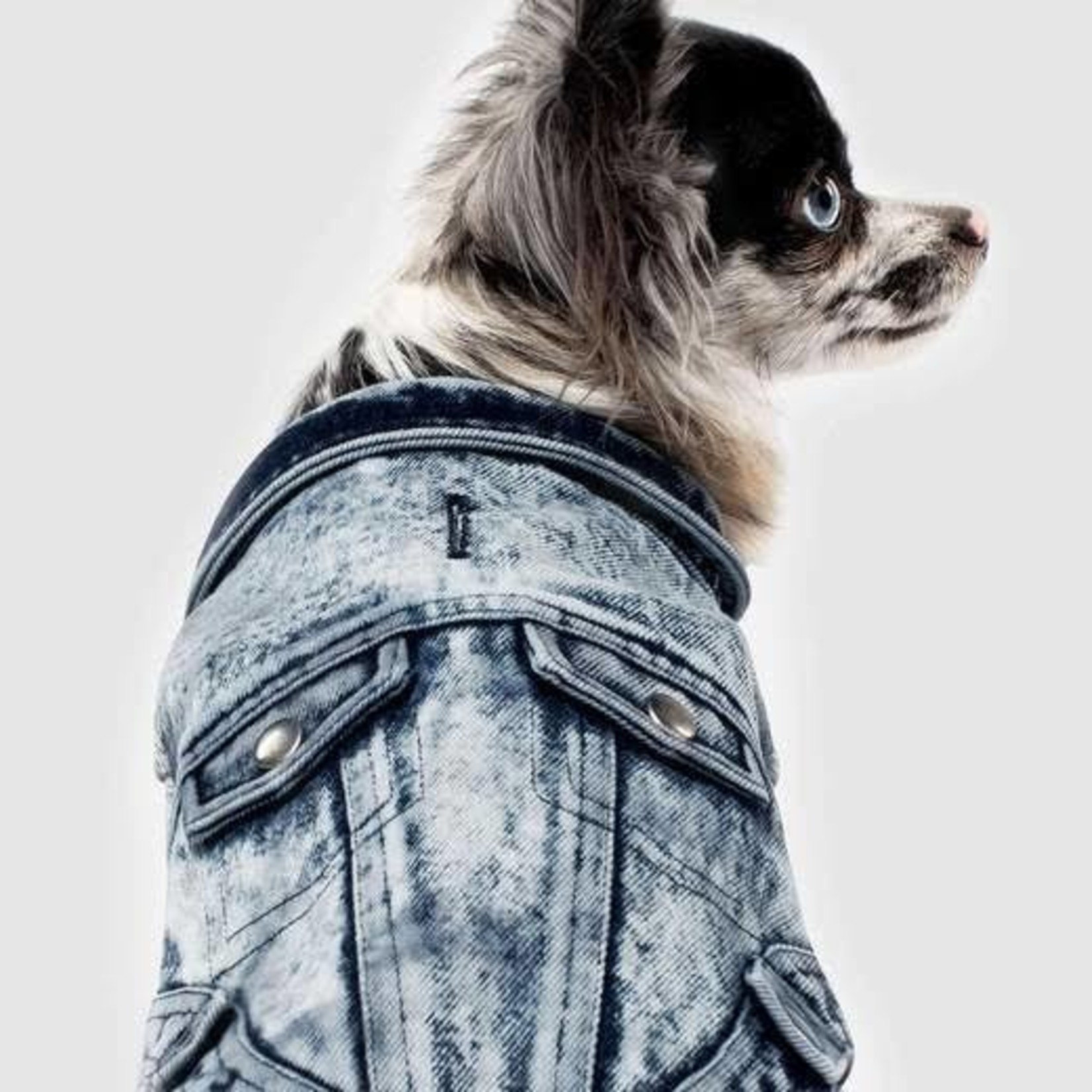 Canada Pooch Canada Pooch Downtown Blue Denim Jean Vest for Dogs and Cats