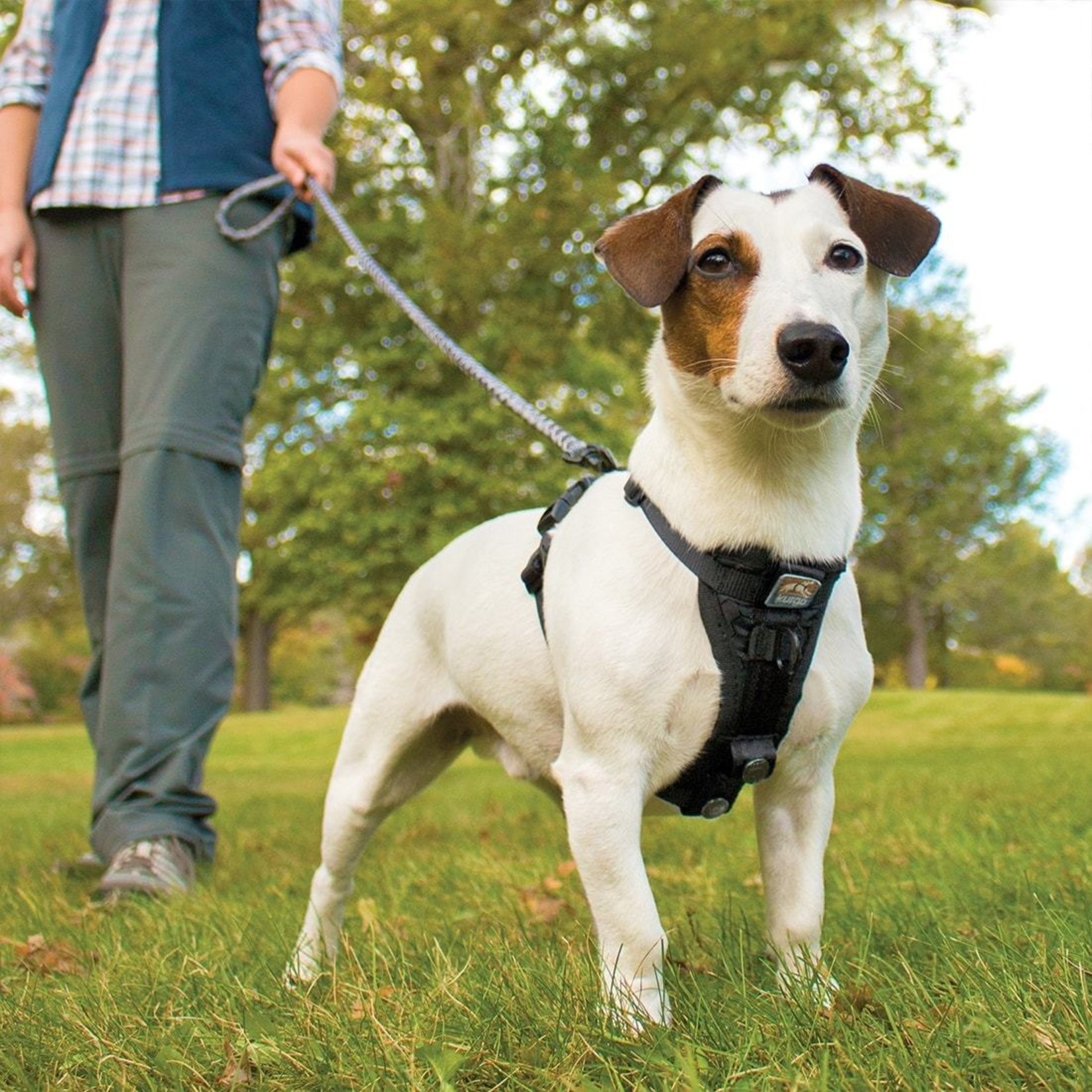 Kurgo Kurgo Tru Fit Smart Dog Walking No Pull Harness w/ Seat Belt Attachment