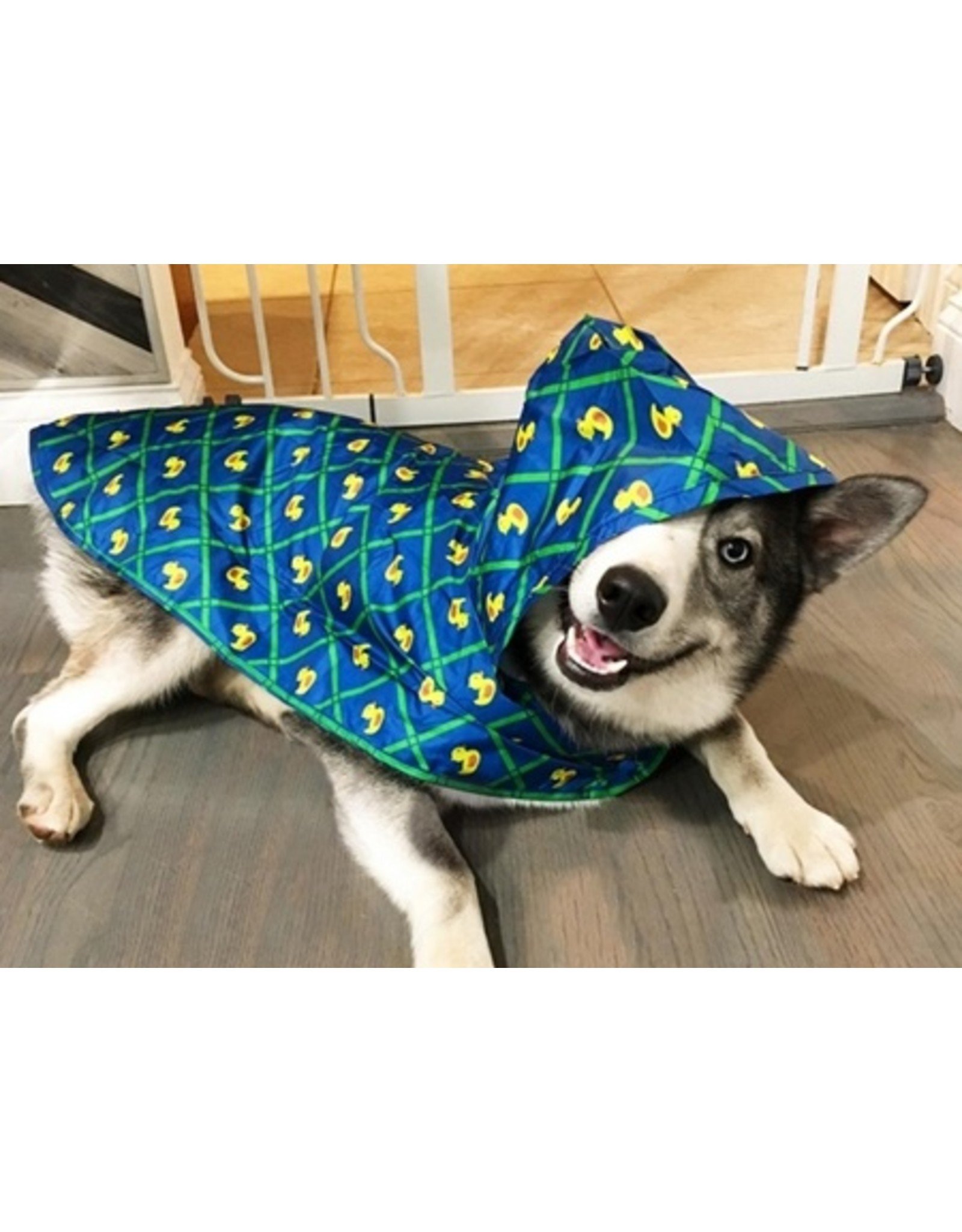 rc pets poncho