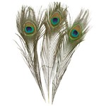 Go Cat Feather Toys Go Cat Peacock Feather 32 - 36in