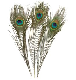 Go Cat Feather Toys Go Cat Peacock Feather 32 - 36in