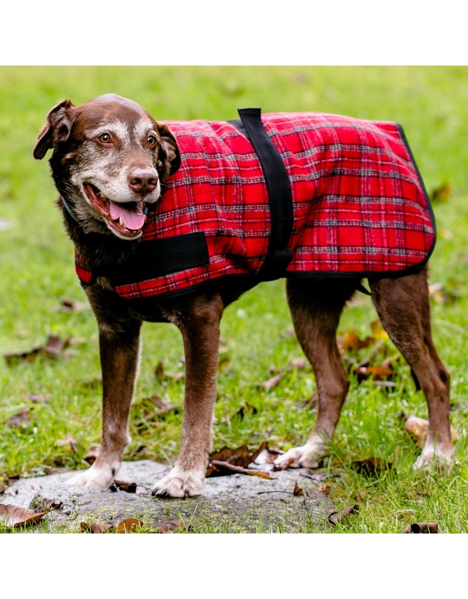 plaid dog coat