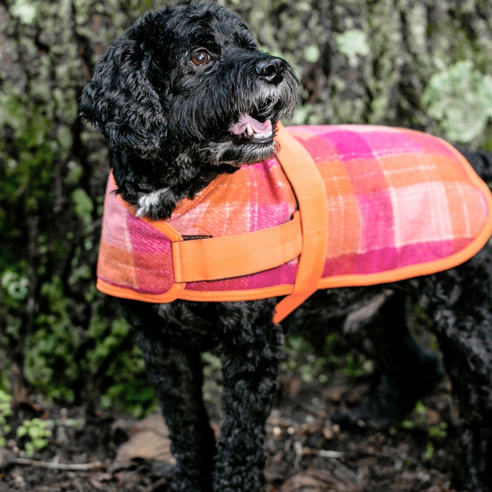 HuggleHounds HuggleWear Flannel Fall and Winter Dog Jacket