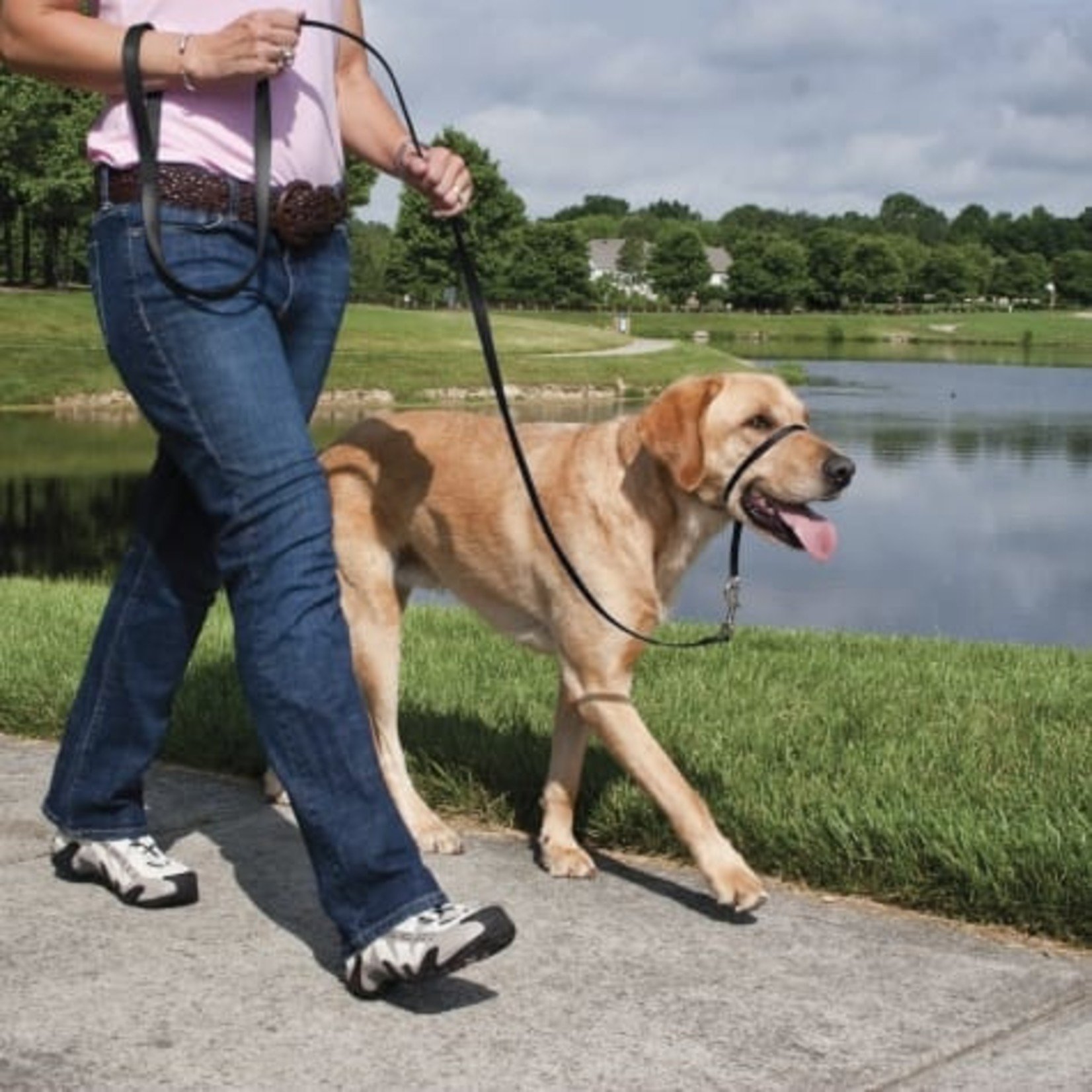 PetSafe PetSafe Gentle Leader Dog Head Collar Harness