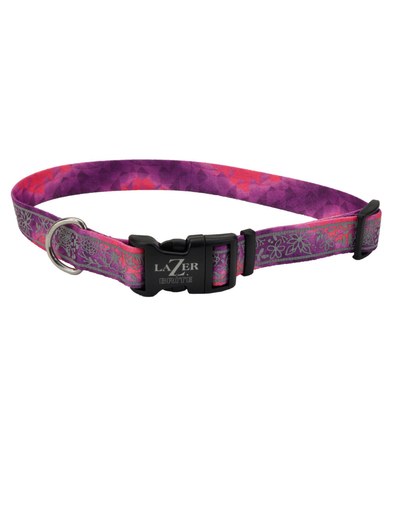 Coastal lazer brite dog collars Clearance