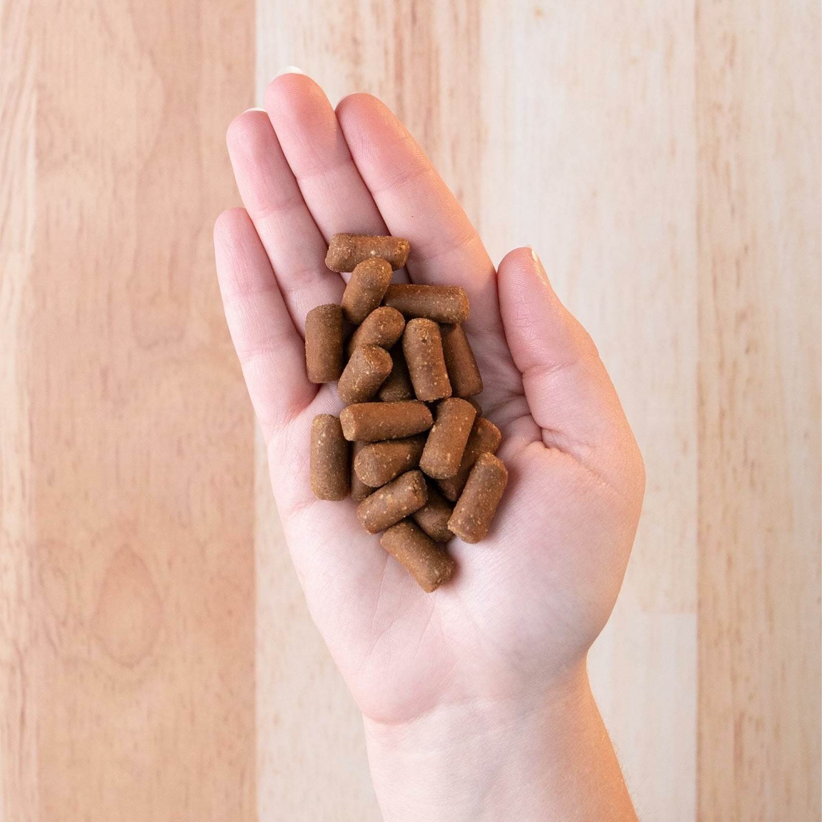 Earthborn Earthborn Earthbites Peanut Flavor Natural Soft Dog Treats 7.5oz Grain Free