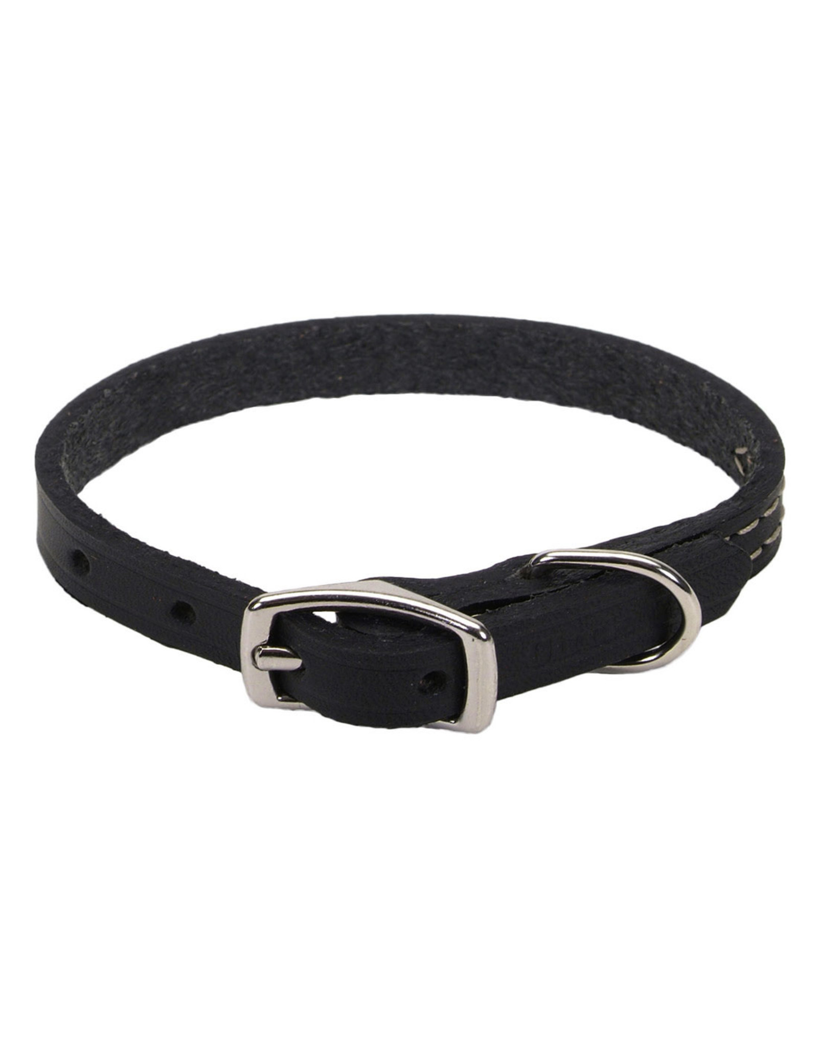 circle t dog collar