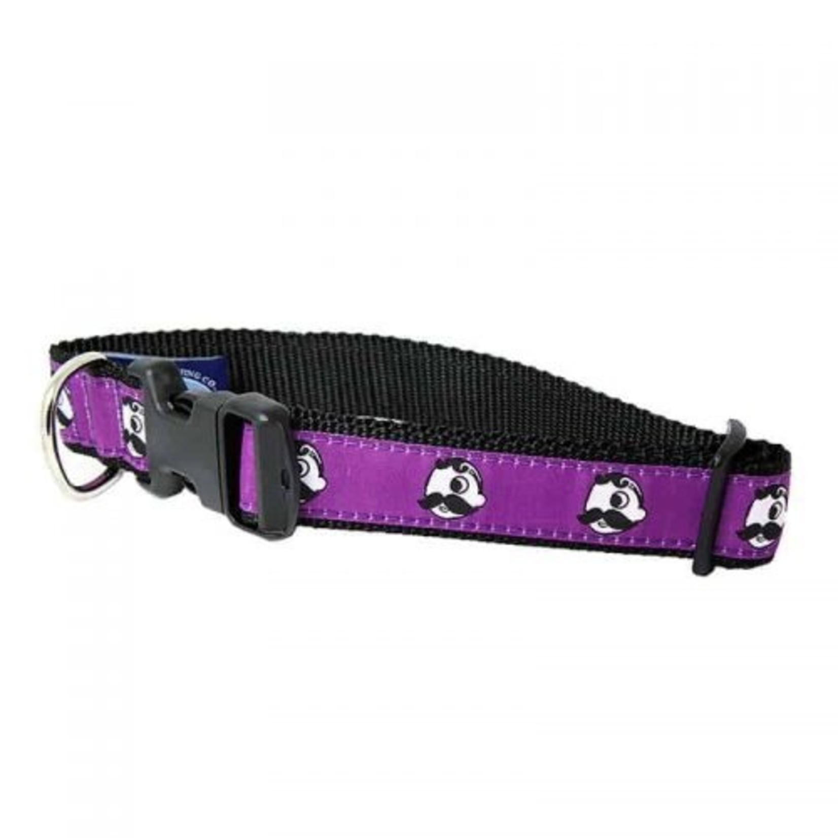 Charm City Clothing Charm City Clothing Co. Dog Collars