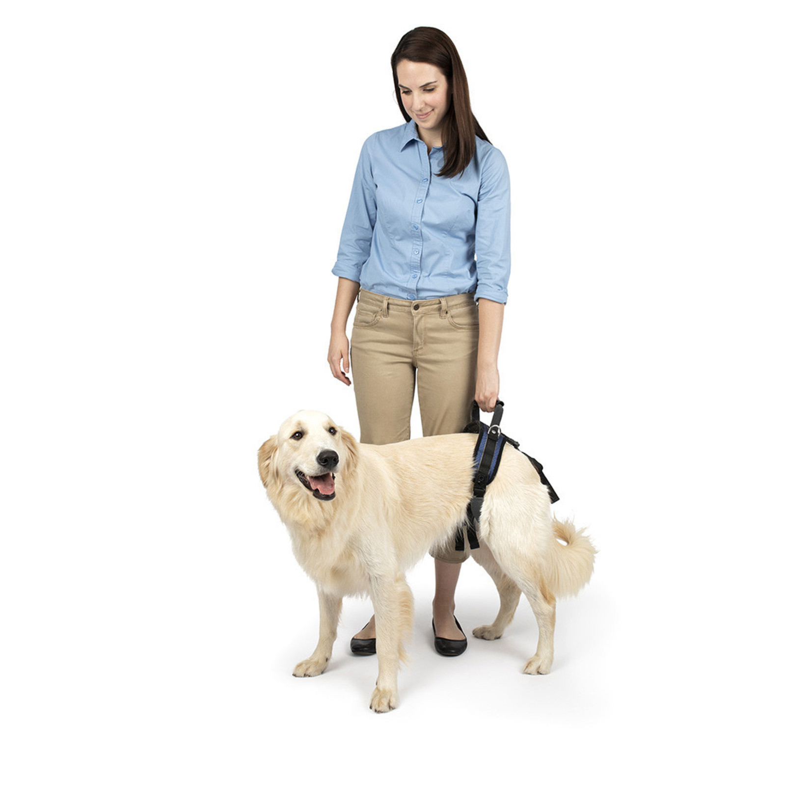 PetSafe CareLift Rear Support Harness for Disabled and Senior Dogs