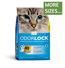 Intersand Intersand OdorLock Cat Litter