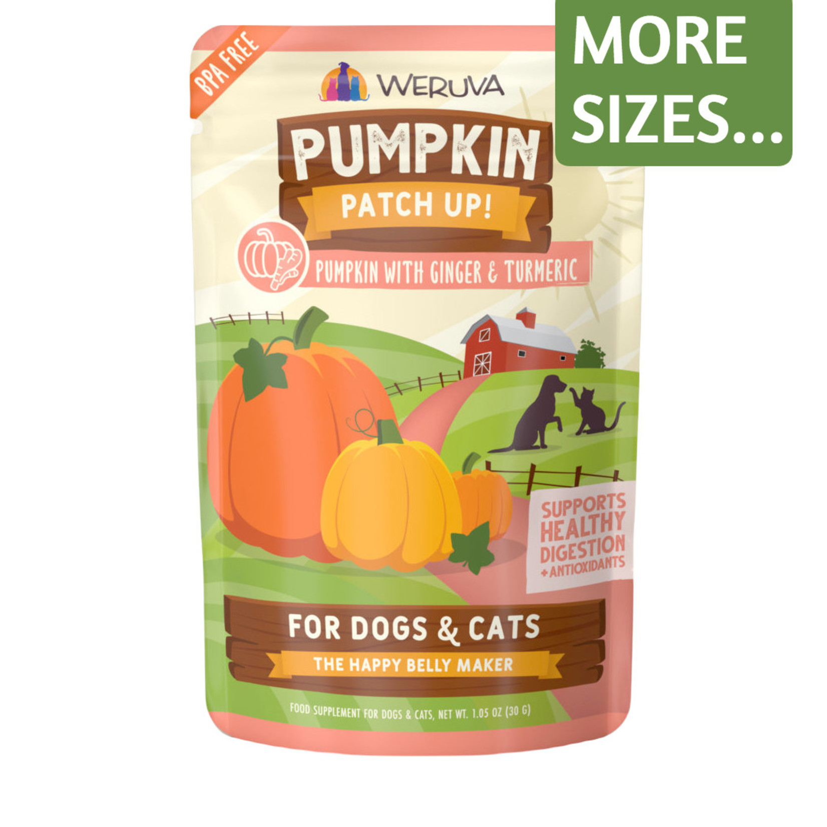 Weruva Weruva Pouch Pumpkin Patch Up Pumpkin Puree plus Ginger & Turmeric Food Supplement