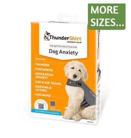 thunder collar for dogs