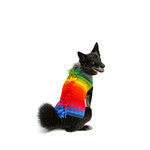 Chilly Dog Chilly Dog Rainbow Mohawk Sweater
