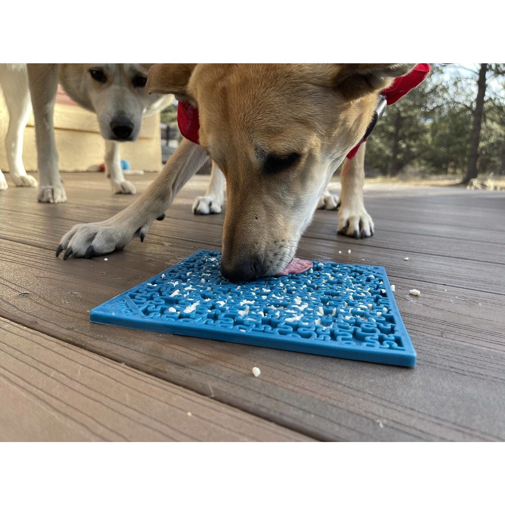 Sodapup Sodapup Enrichment Lick Mats for Cats and Dogs