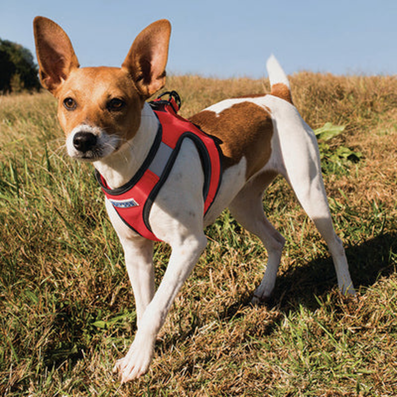 what is a step in dog harness