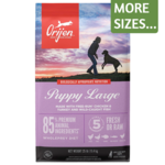 Orijen Orijen Dog Dry Lg Puppy GF