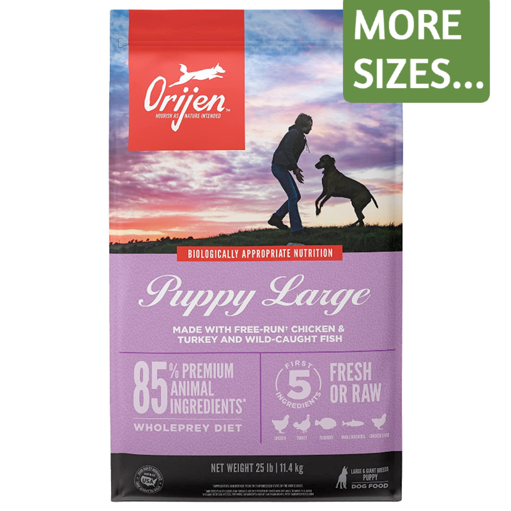 Orijen Orijen Dry Dog Food Large Breed Puppy Puppy Large Grain Free