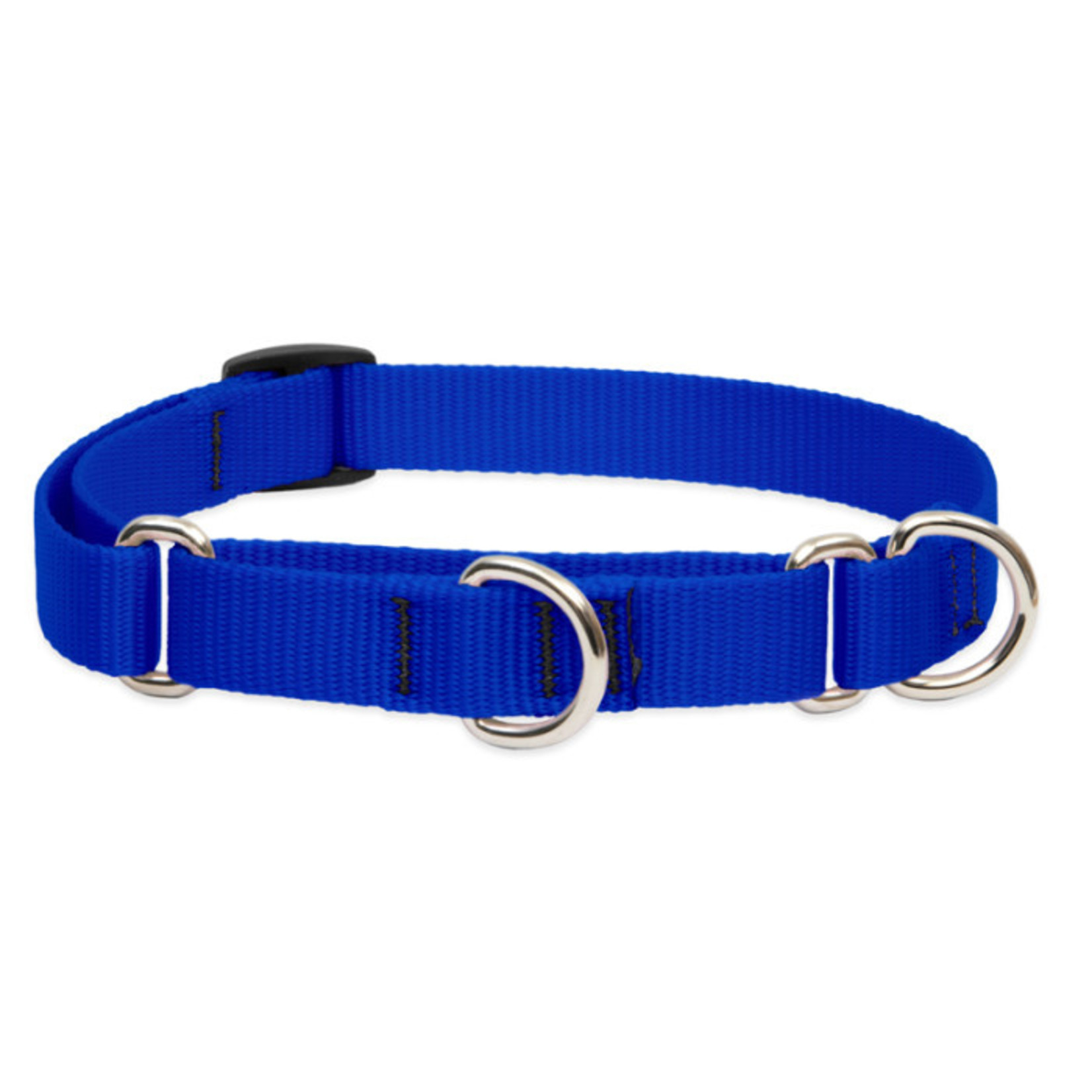 Lupine Lupine 3/4in Martingale Style Dog Collar