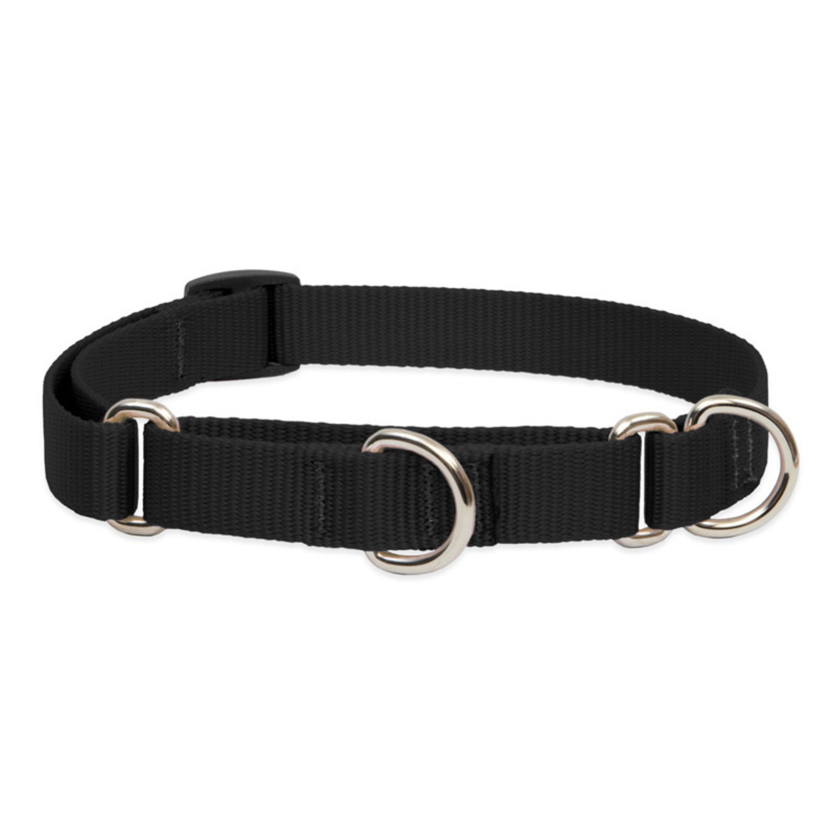 Lupine 3 4in Martingale Style Dog Collar Howl
