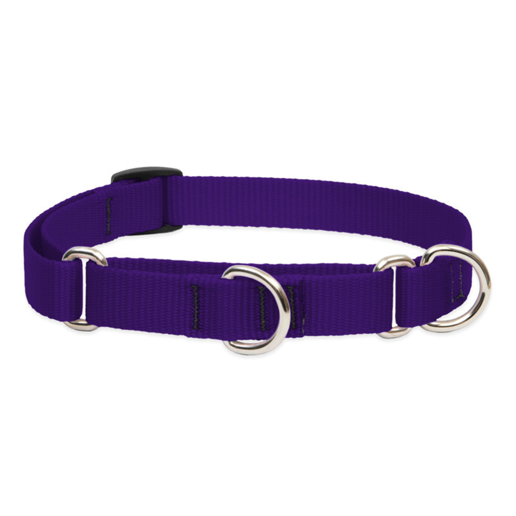 Lupine Lupine 3/4in Martingale Style Dog Collar