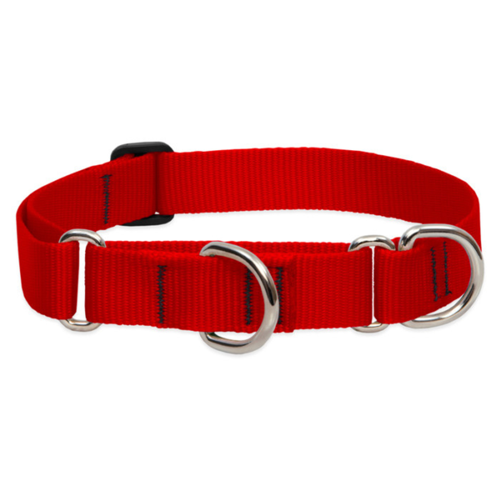 Lupine Lupine 1in Martingale Style Dog Collar